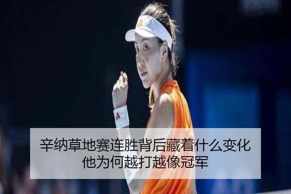辛纳草地赛连胜背后藏着什么变化 他为何越打越像冠军 | Feifanyule